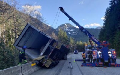 Paper Roll Cargo Recovery