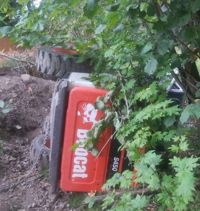 When a Bobcat Takes a Nap