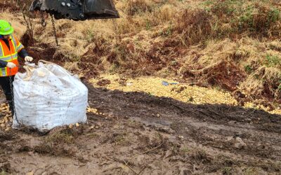 Digging Potatoes – Spud Spill Cleanup