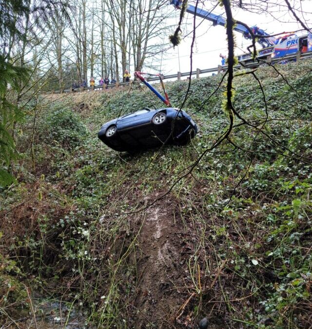 Fishing for a Ford Taurus