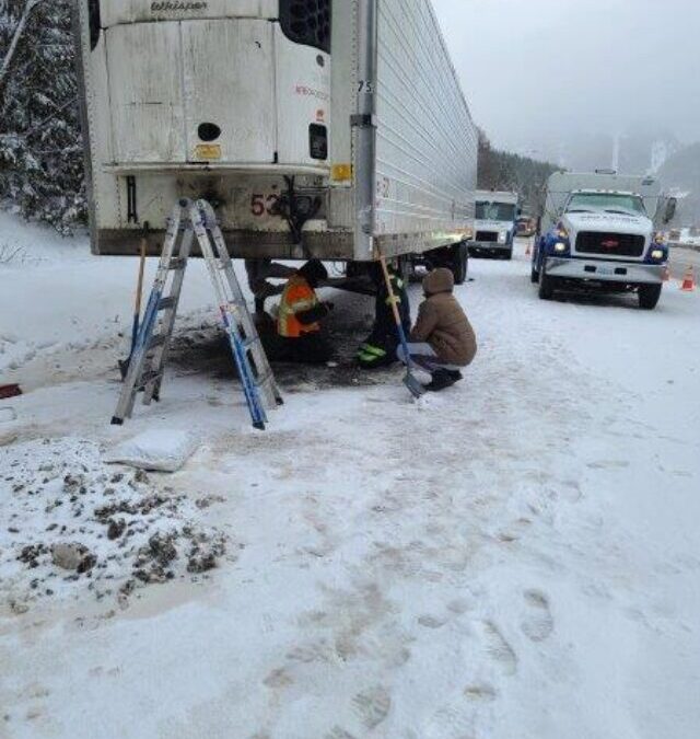 What’s Your Beef? Snowy Recovery