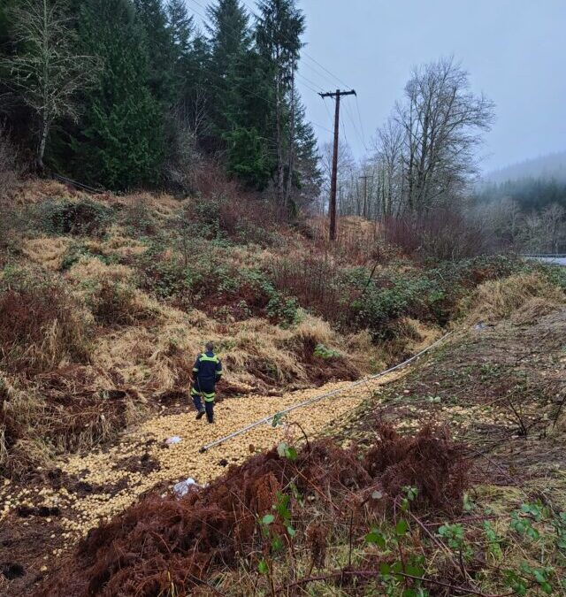 Digging up 20,000 LBS of Potatoes