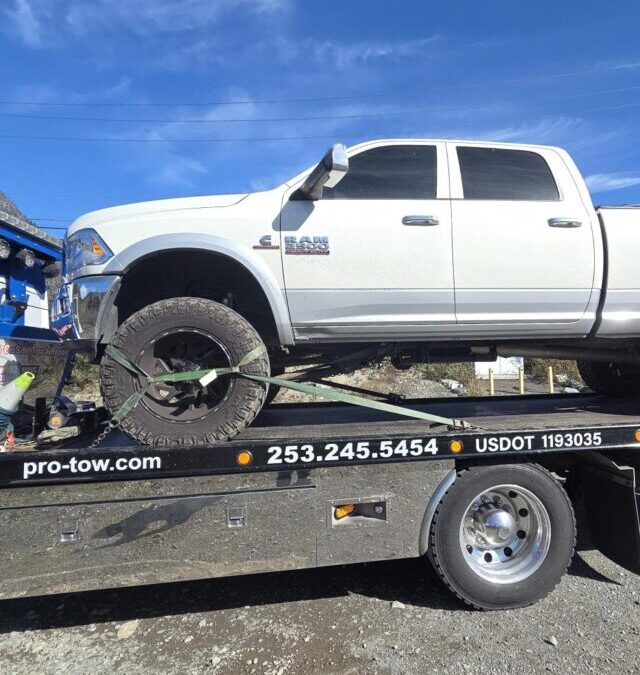 Wrong Fuel Woes. Time for a Tow