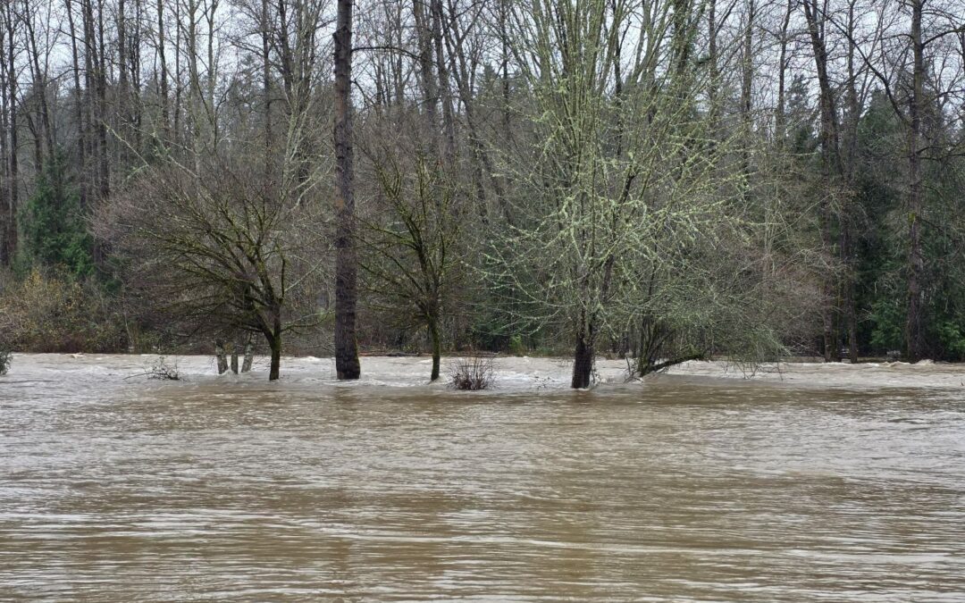 Emergency Vehicle Recovery on Private Property During Cedar River Flooding