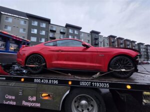 Media - 2026-02-25T104924.542