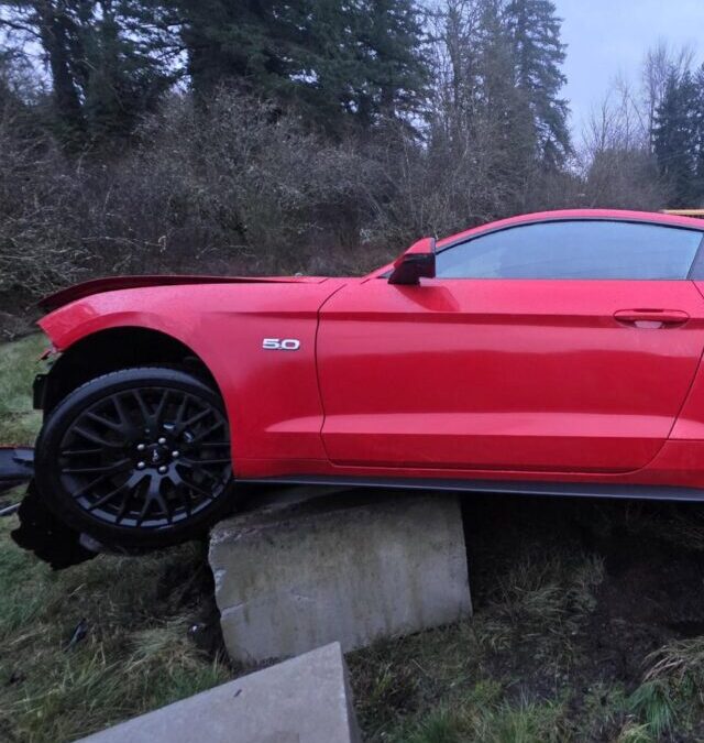 Hung Up Mustage Needed a Rescue in Auburn