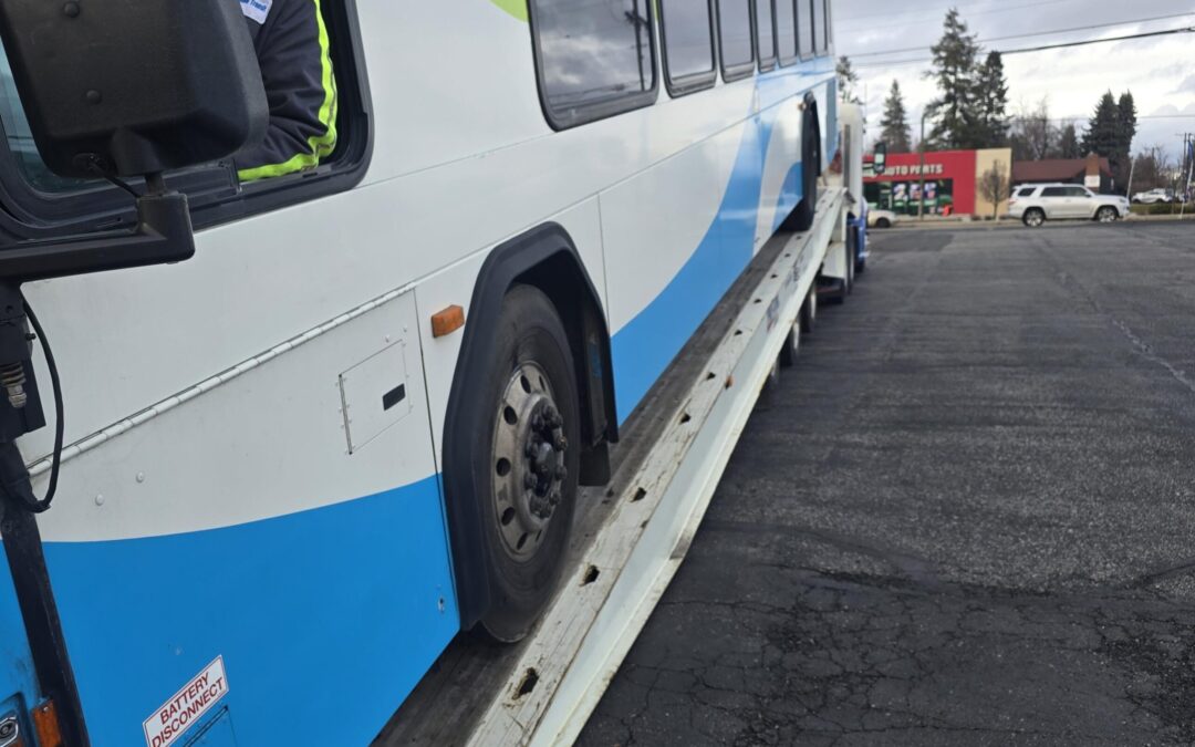 Media – 2026-01-16T094549.021