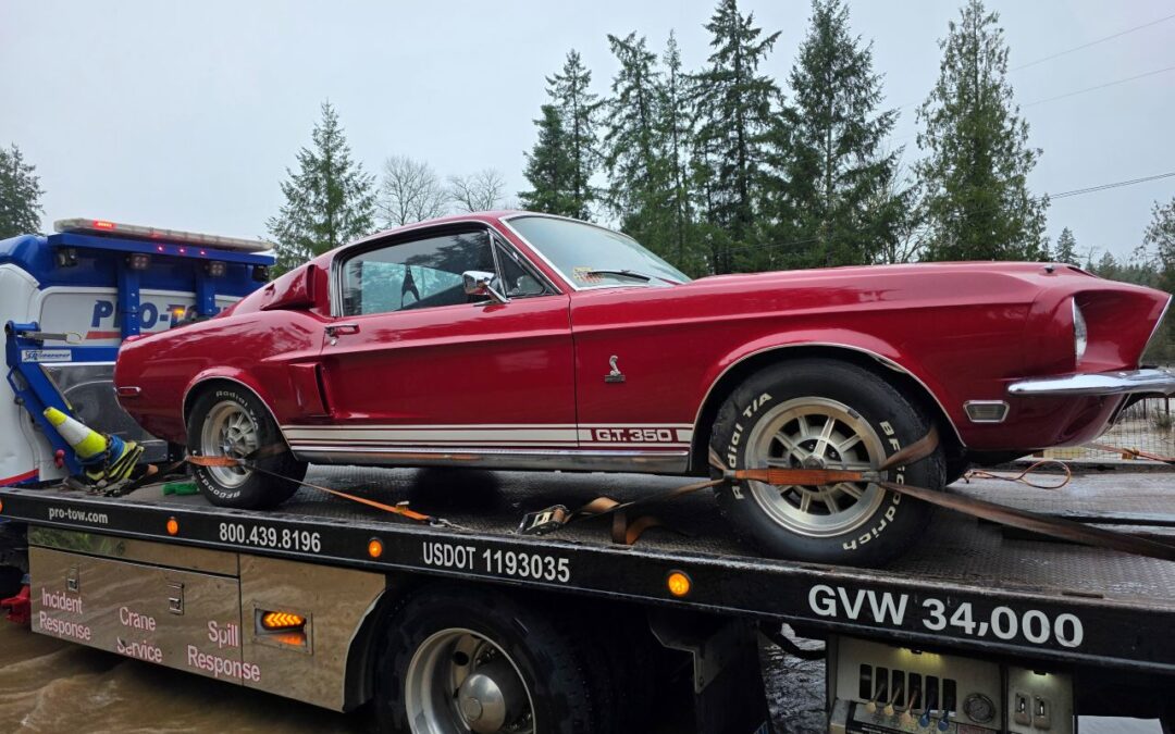 Mustang Rescued – Towing in Maple Valley